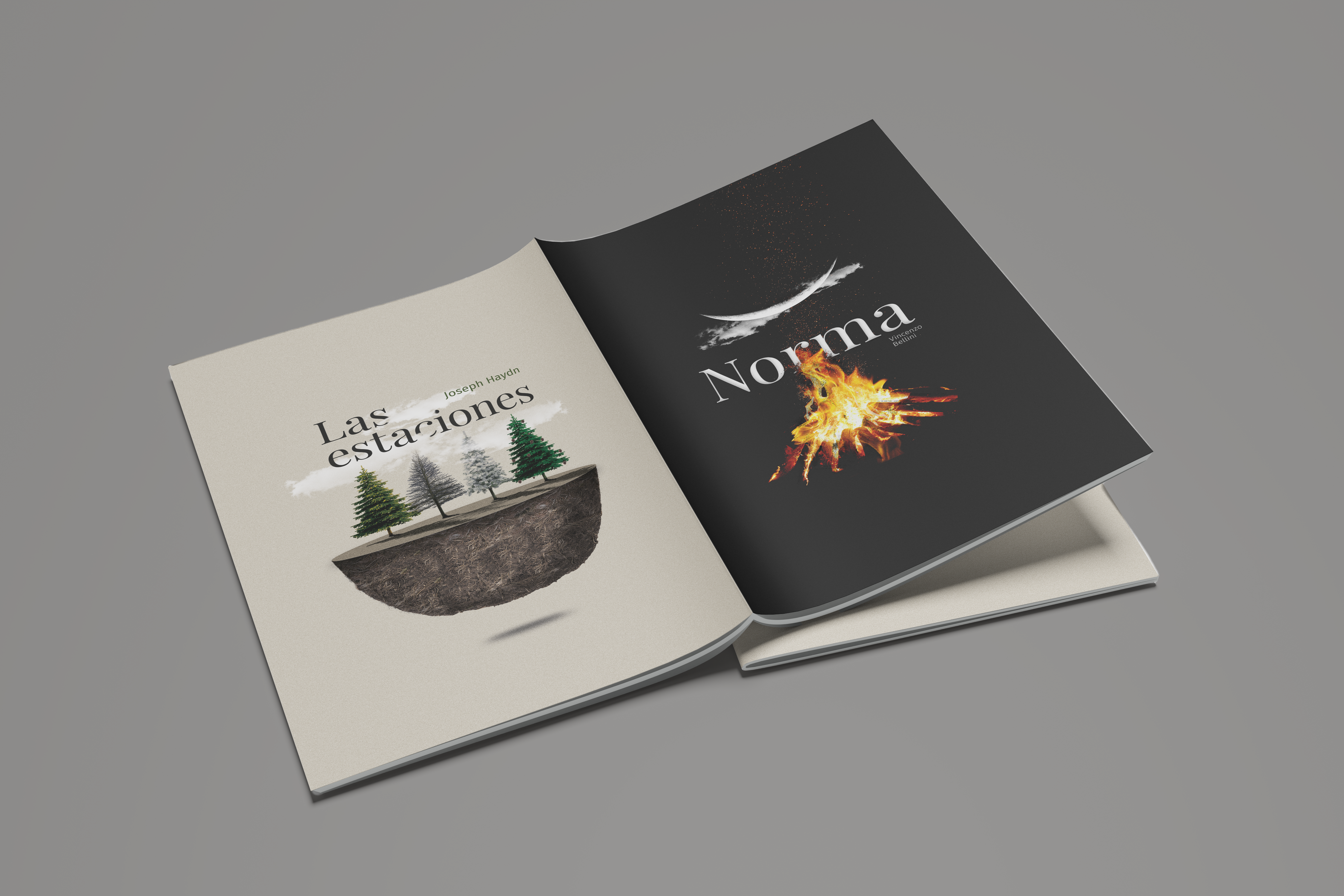 Brand Identity work